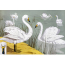 РЕПРОДУКЦИИ НА КАРТИНИ Див лебед (1906)